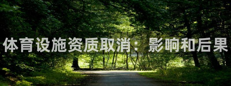 意昂体育3平台APP：体育设施资质取消：影响和后果