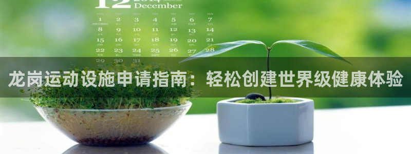 意昂3娱乐首页网站大全：龙岗运动设施申请指南：轻松创