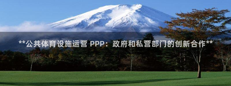 意昂体育3开户：**公共体育设施运营 PPP：政府和