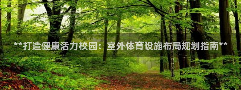 意昂体育3联系电话：**打造健康活力校园：室外体育设