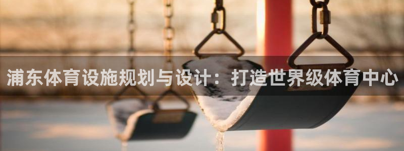海南意昂体育3发展怎么样：浦东体育设施规划与设计：打
