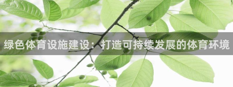 意昂体育3软件：绿色体育设施建设：打造可持续发展的体