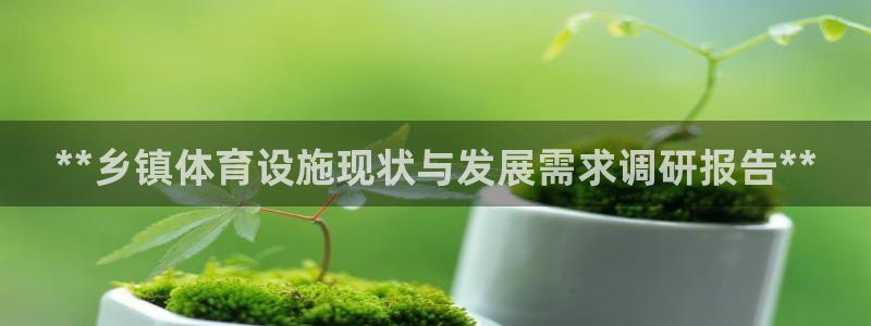 意昂体育3招商电话号码是多少啊：**乡镇体育设施现状
