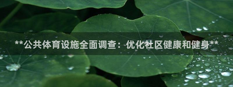 意昂体育3平台注册流程视频：**公共体育设施全面调查