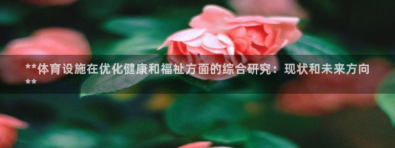 意昂体育3平台是正规平台吗安全吗：**体育设施在优化