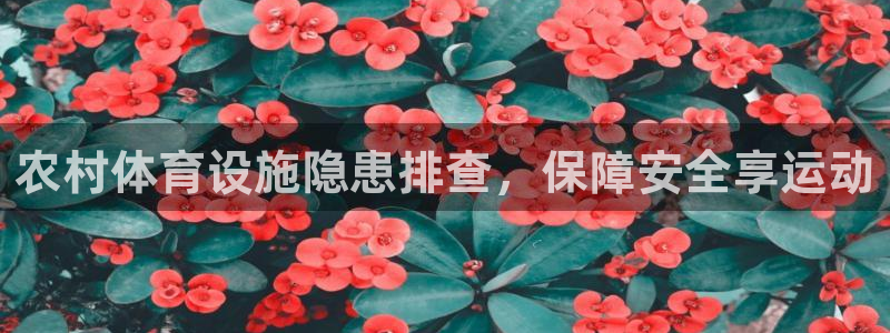 意昂体育3招商电话号码是多少号：农村体育设施隐患排查