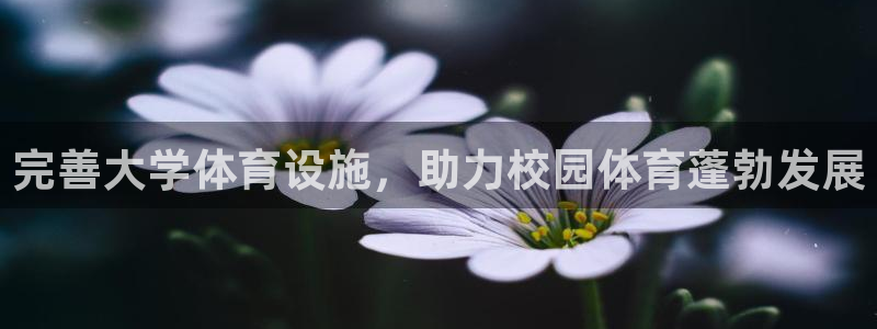 意昂3开户：完善大学体育设施，助力校园体育蓬勃发展
