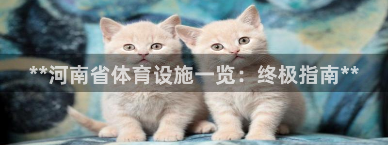 意昂体育3平台注册流程视频：**河南省体育设施一览：