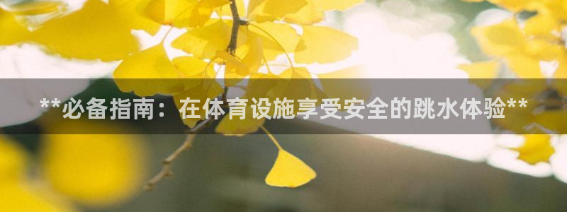 意昂3官网：**必备指南：在体育设施享受安全的跳水体