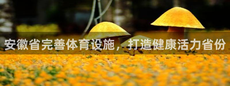 意昂体育3联系电话：安徽省完善体育设施，打造健康活力