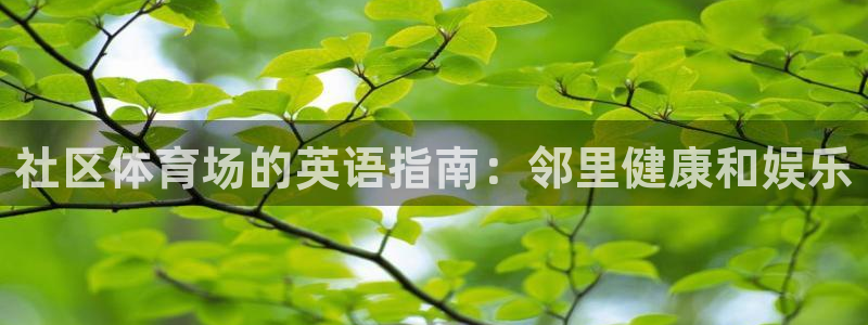 意昂体育3平台是正规平台吗：社区体育场的英语指南：邻