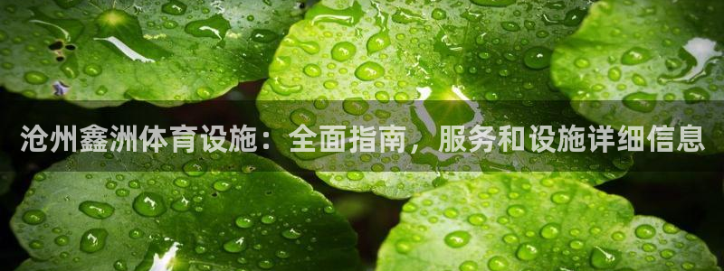 意昂体育3平台假的吗是真的吗吗：沧州鑫洲体育设施：全