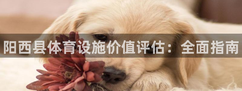 意昂3娱乐是那个系列的台子：阳西县体育设施价值评估：