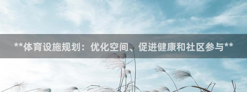 意昂体育3开户：**体育设施规划：优化空间、促进健康