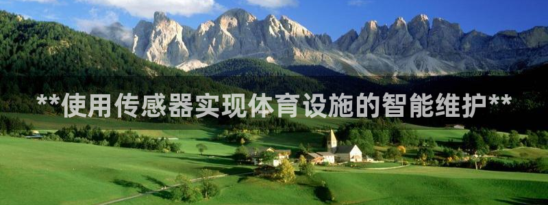 海南意昂体育3：**使用传感器实现体育设施的智能维护