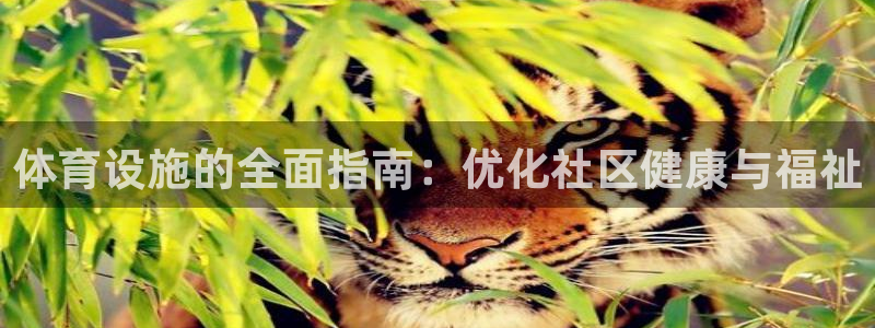 意昂体育3注册：体育设施的全面指南：优化社区健康与福
