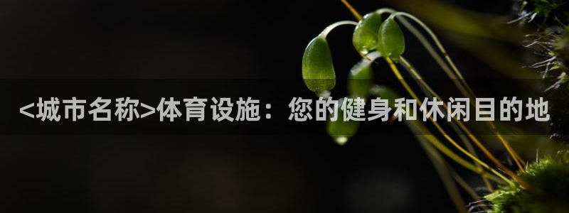 意昂体育3软件：<城市名称>体育设施：您的健身和休闲