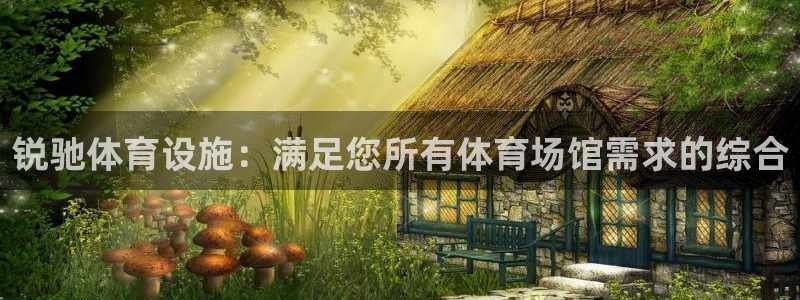 意昂集团官网：锐驰体育设施：满足您所有体育场馆需求的