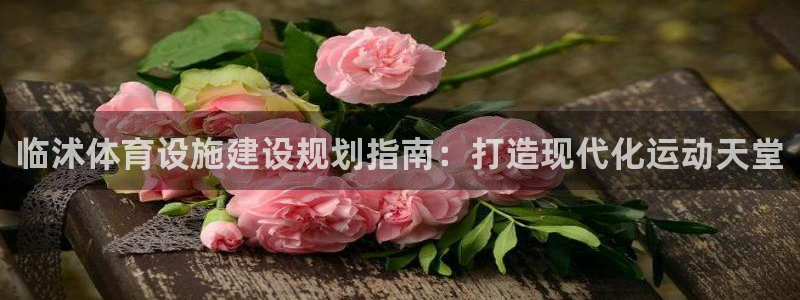 意昂3科技：临沭体育设施建设规划指南：打造现代化运动