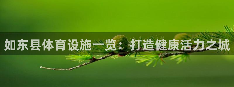 意昂3代理：如东县体育设施一览：打造健康活力之城
