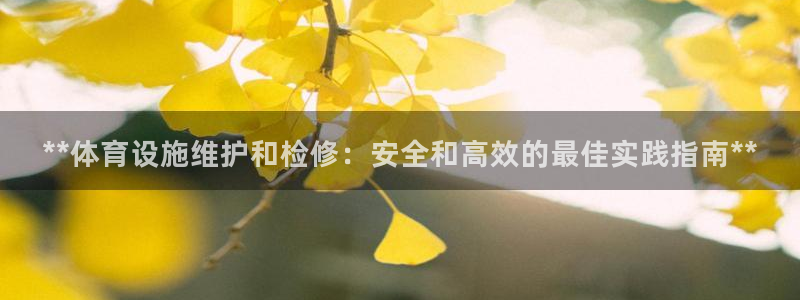 意昂体育3招商电话：**体育设施维护和检修：安全和高