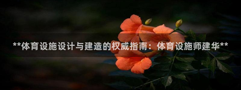 意昂3代理：**体育设施设计与建造的权威指南：体育设