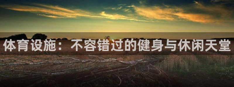 意昂3神州：体育设施：不容错过的健身与休闲天堂