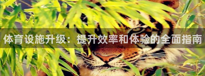 意昂体育3招商电话地址查询：体育设施升级：提升效率和