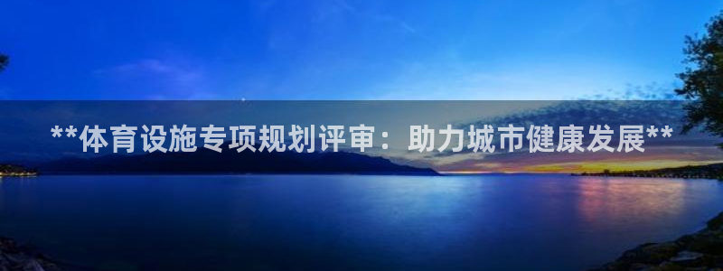 意昂3官方：**体育设施专项规划评审：助力城市健康发