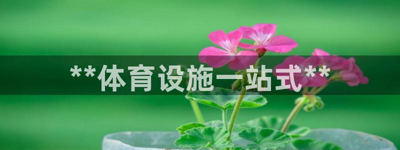 德国意昂3集团：**体育设施一站式**