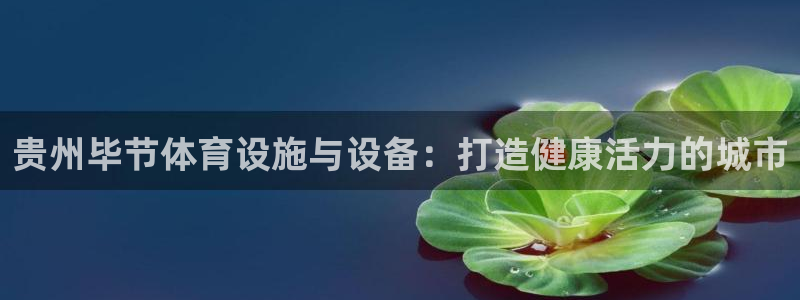 意昂体育3平台注册要钱吗安全吗：贵州毕节体育设施与设