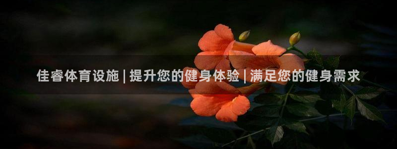 意昂体育3平台是正规平台吗知乎：佳睿体育设施 | 提