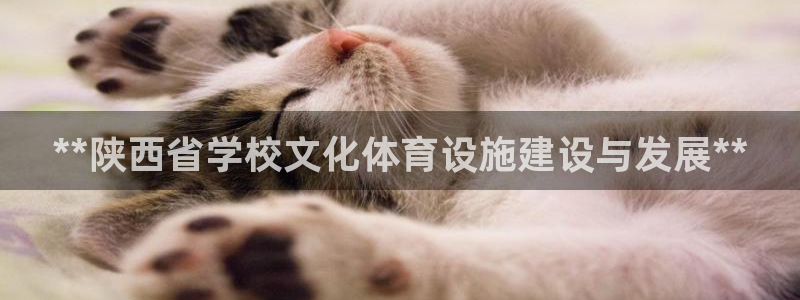 意昂体育3注册：**陕西省学校文化体育设施建设与发展
