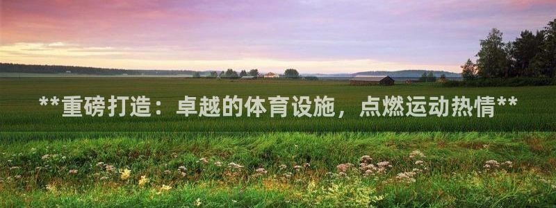 意昂3娱乐首页官网下载：**重磅打造：卓越的体育设施