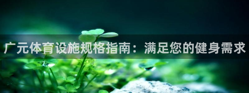 意昂体育3招商：广元体育设施规格指南：满足您的健身需