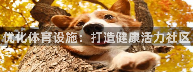 意昂体育3平台假的吗是真的吗吗：优化体育设施：打造健