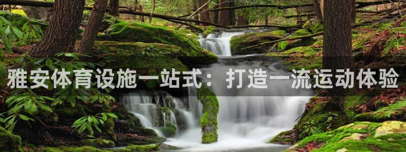 意昂体育3注册：雅安体育设施一站式：打造一流运动体验
