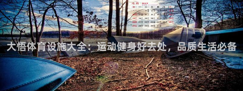 德国意昂3集团：大悟体育设施大全：运动健身好去处，品
