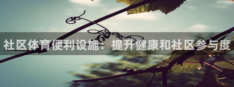 意昂体育3招商电话是多少：社区体育便利设施：提升健康