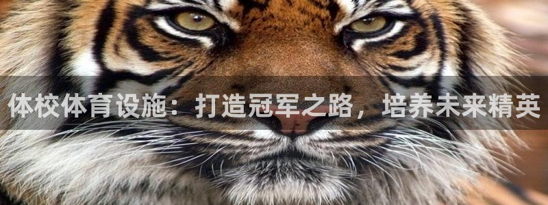 意昂3集团E.ON：体校体育设施：打造冠军之路，培养