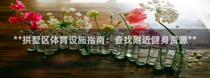 意昂体育3平台是正规平台吗：**拱墅区体育设施指南：