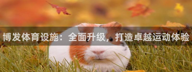 意昂体育3联系电话：博发体育设施：全面升级，打造卓越
