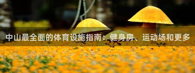 意昂体育3平台假的吗是真的吗吗：中山最全面的体育设施