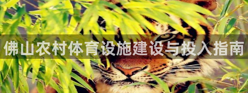 意昂体育3平台注册要钱吗安全吗：佛山农村体育设施建设