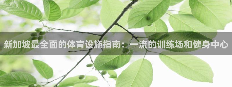 意昂体育3开户：新加坡最全面的体育设施指南：一流的训