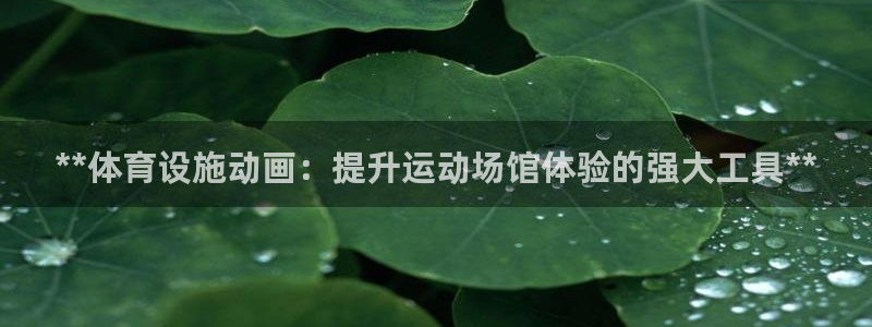 意昂3娱乐首页网站大全：**体育设施动画：提升运动场
