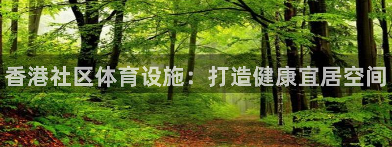 意昂体育3平台注册流程视频：香港社区体育设施：打造健