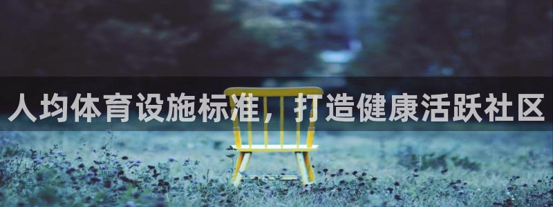 海南意昂体育3：人均体育设施标准，打造健康活跃社区