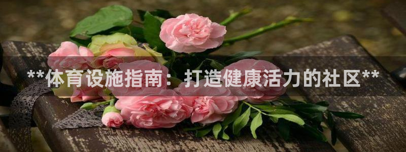 意昂体育3招商电话：**体育设施指南：打造健康活力的