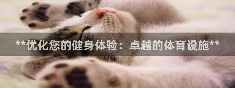 意昂体育3招商电话号码查询是多少：**优化您的健身体